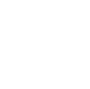 Xiaohongshu